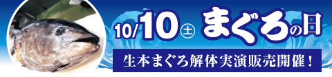 生本まぐろ解体 10月