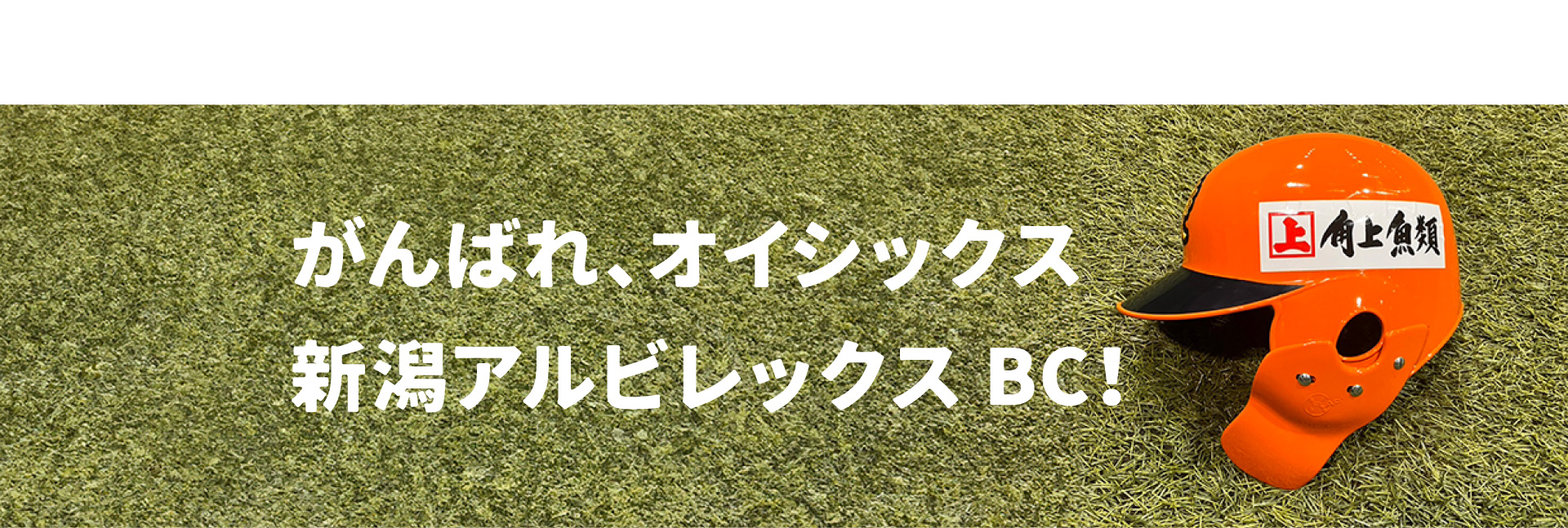 オイシックス新潟アルビレックス・ベースボール・クラブ